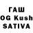 Каннабис планчик Atai Brisgenkulov
