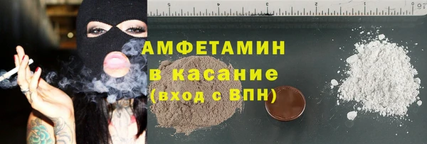 хмурый Ельня
