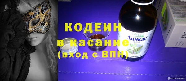 индика Елизово