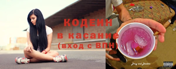 хмурый Ельня