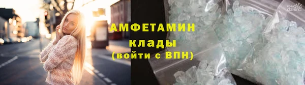 хмурый Ельня