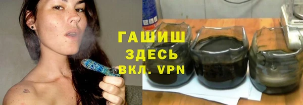 индика Елизово