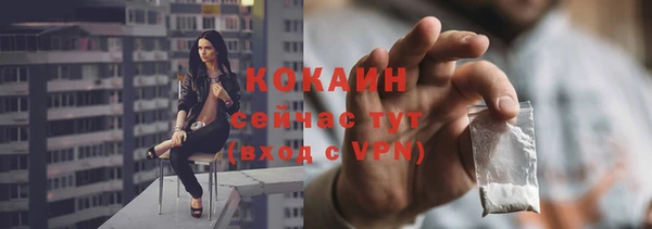 хмурый Ельня