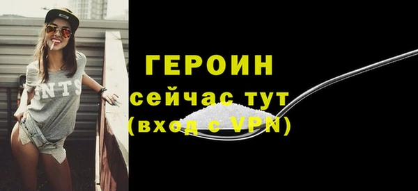 индика Елизово