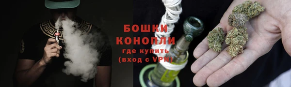 индика Елизово