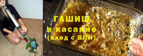 хмурый Ельня