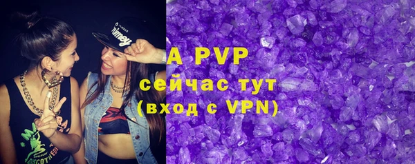 хмурый Ельня
