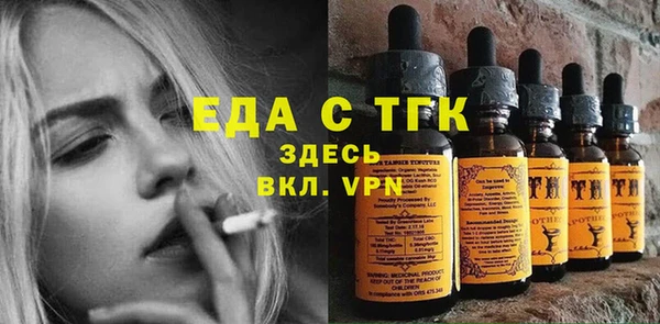 хмурый Ельня