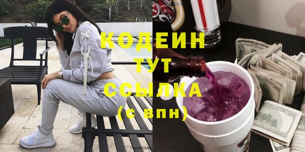 хмурый Ельня