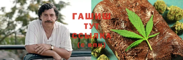 индика Елизово