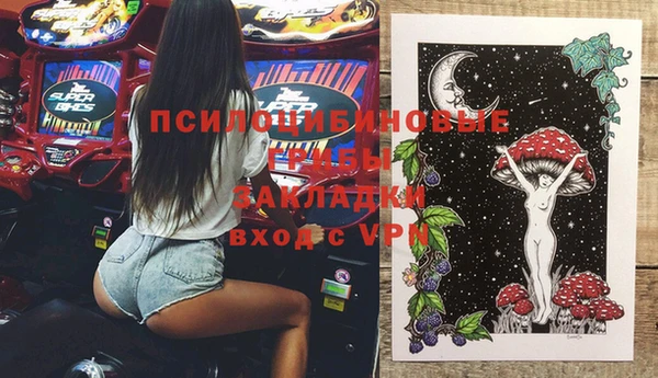 хмурый Ельня
