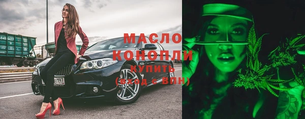 индика Елизово