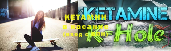 индика Елизово
