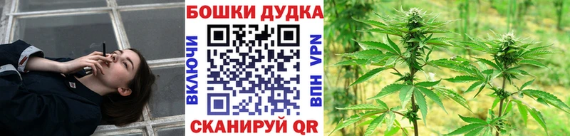 Купить где  Кудрово  Каннабис план 